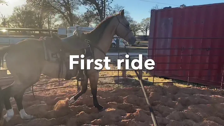 First ride horse training Darrell Gardners Horsema...