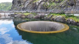 Looking Down the Glory Hole at Lake Berryessa @georgehomenko5358