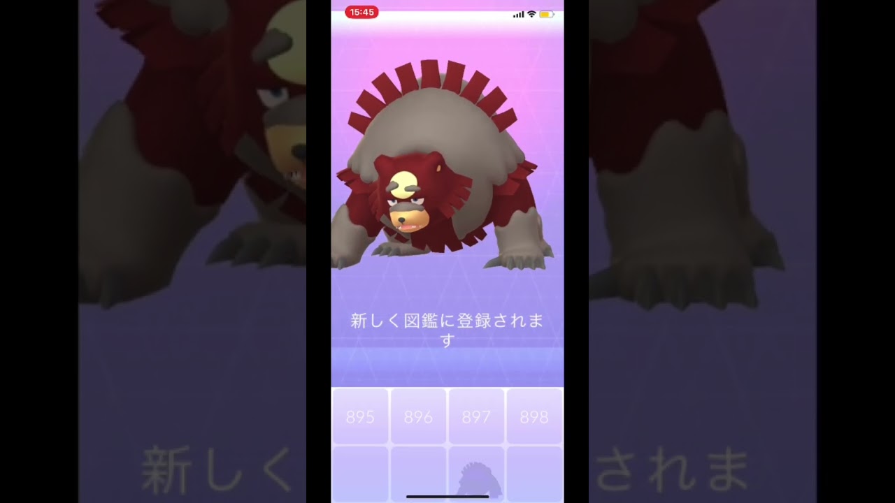 色違い ヒメグマ リングマ ガチグマ シャドウ色違いリングマ Shorts Shiny Pokemongo 色違い ガチグマ リングマ ヒメグマ シャドウ色違い ポケモンgo Youtube