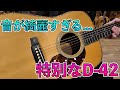 まるでハイエンドギターのようなマーチン!特別仕様のD-42に興奮!