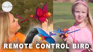 Christmas Gift Ideas 2020 |  Remote Control Smart Flying GOGO BIRD Toy