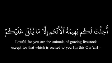 سورة المائدة آية(١)مشاري العفاسي كرومات شاشة سوداء قرآن كريم 