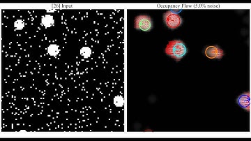 Occupancy Flow with 5% Noise