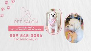 AB Sebastian's Pet Salon
