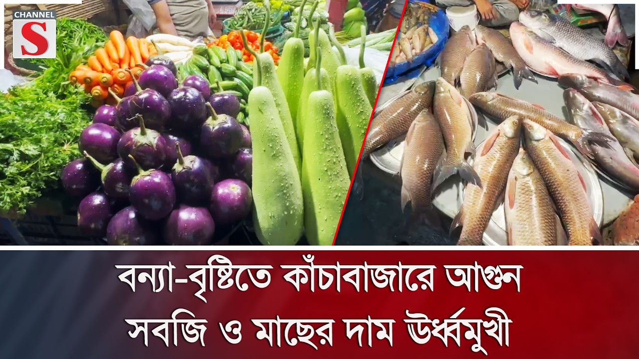 বন্যা-বৃষ্টিতে কাঁচাবাজারে আগুন; সবজি ও মাছের দাম ঊর্ধ্বমুখী | Market Price | Channel S News