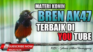 MASTERAN PANCINGAN KONIN GACOR FULL ISIAN CIBLEK AK47 TERBAIK COCOK UNTUK MASTERAN PANCINGAN KOLIBRI