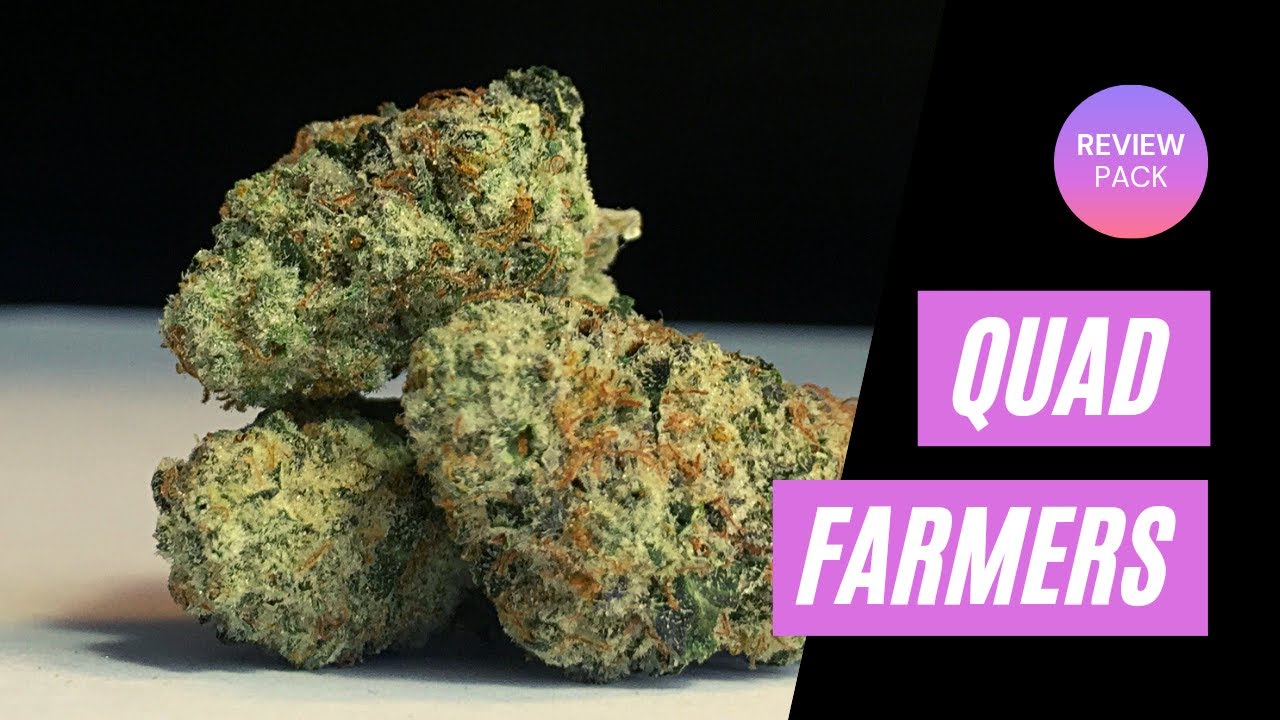 Quad Farmers Review Package