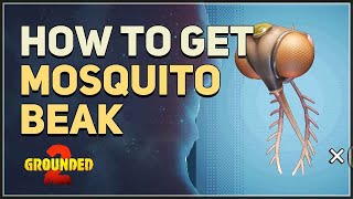 How to get Mosquito Beak Grounded 2