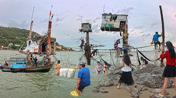 Bàng Hoàng Trước Cảnh Tượng Đi Trên Dây Thả Lưới Đáy Chưa Từng Có - Làng Chài Trúng Mánh Cá Trích