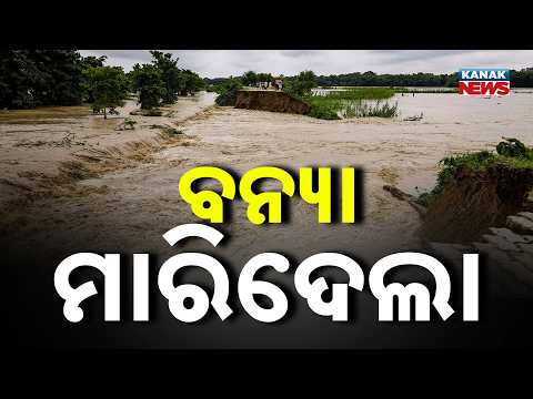 Assam Flood Update | Brahmaputra River Crosses Danger Mark, Death Toll Rises