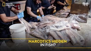 Narcotics Hidden in Fish? | To Catch a Smuggler | हिन्दी | Full Episode | S4E2 | Nat Geo