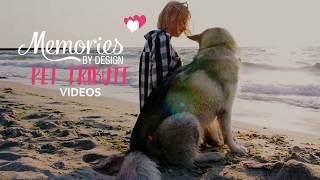 Pet Tribute Videos 'Handcrafted' - Memories By Design
