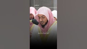 كَیۡفَ یَكُونُ لِلۡمُشۡرِكِینَ عَهۡدٌ عِندَ ٱللَّهَِ |ماتيسر من سورة التوبة | الشيخ الوليد الشمسان