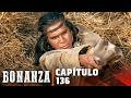Bonanza | Capitulo 136 – Matar Un Búfalo | Completo en Español
