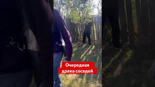 Очередная драка между соседями про согласовании границ участка #дача #арендаучастка #участок