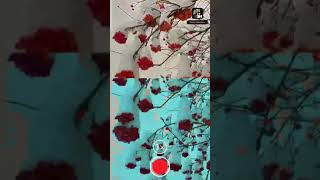 Storageemulated0Photo Slideshow - Opals Appsslideshowphotoslideshow-030920-115520