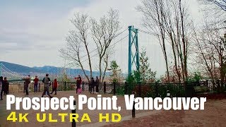 Prospect Point Walk In Vancouver Walking Tour In 4K
