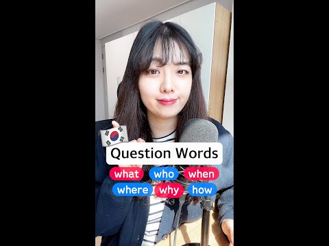 Korean Question words! (What, Who, When, Where, Why and How) #shorts