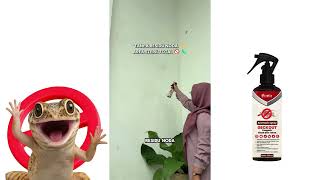 Download Lagu Bukan Cuma Jijik, Tapi Ganggu Banget! MP3