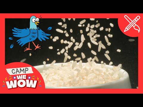 Dancing Rice! 🍚🕺 | Camp WeWow | Mini Podcast Episode for Kids