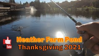 Episode 85: Thanksgiving DFG plant at Heather Farm Pond @NoSkunkAdventures