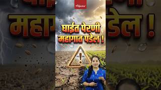 पेरणीपूर्वी या 5 गोष्टी लक्षात ठेवा! Kharif Crop Planning | Rainfall Management