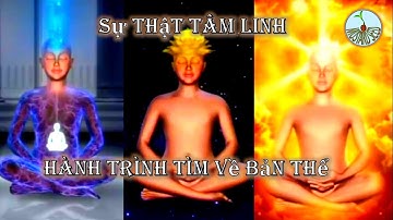 🌱 Thiền | Hành Trình Tìm Về Bản Thể | Sự Thật Tâm Linh | Bản Đẹp