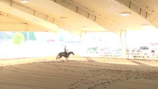 170819 Brandon Brant on Xtra Voodoo Pal Open Futurity