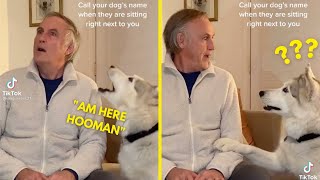 Call Your Dogs Name When They Are Right Next To You And See Their Reaction (TikTok Trend) by Animaldaze 155 views 2 years ago 4 minutes, 7 seconds