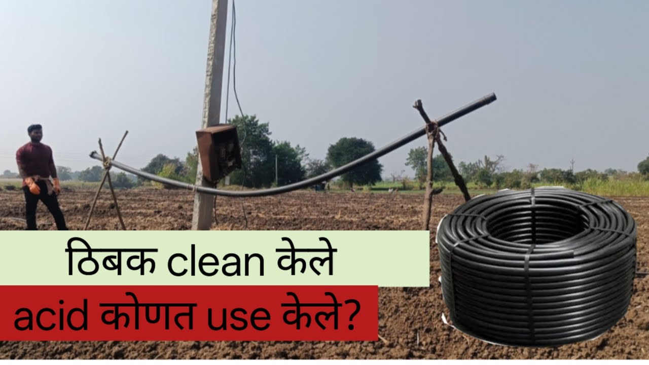 काकडी लागवड part 2.    जुने ठिबक clean केले vlog 10......