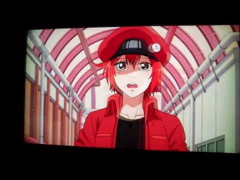 はたらく細胞