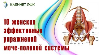 10 Упражнений для мочеполовой системы. Домашние тренировки. 10 Упражнений для мочеполовой системы. Домашние тренировки.