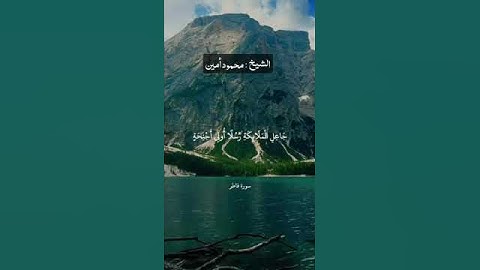 سورة فاطر _ Surah Fatir ❤️  #قرآن #اسلام #تلاوة #سورة فاطر