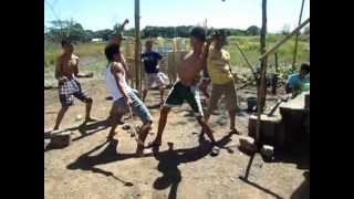 Einstein - Harlem Shake