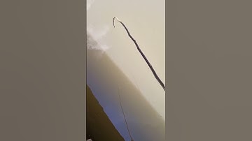 Đi câu cá mà bất ổn quá cá trê phá quá