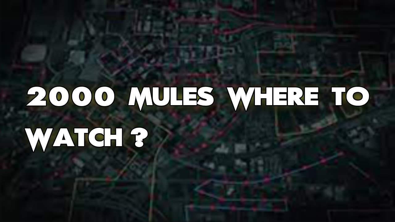2000 Mules Where To Watch? ALL WAYS to DO IT!! - YouTube