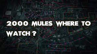 2000 Mules Where To Watch? ALL WAYS to DO IT!!