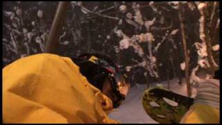 gullwing.flv