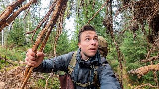 Schwarzwald-Tour mit Übernachtung