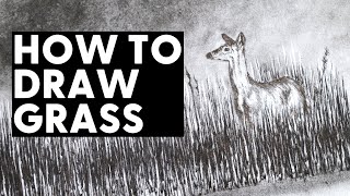 How to Draw Grass WITHOUT FEAR.  Tips for Beginners