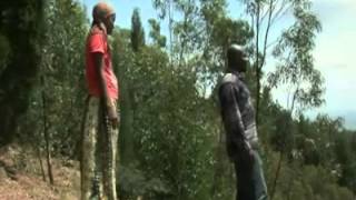 BIBAHO trailer.mp4