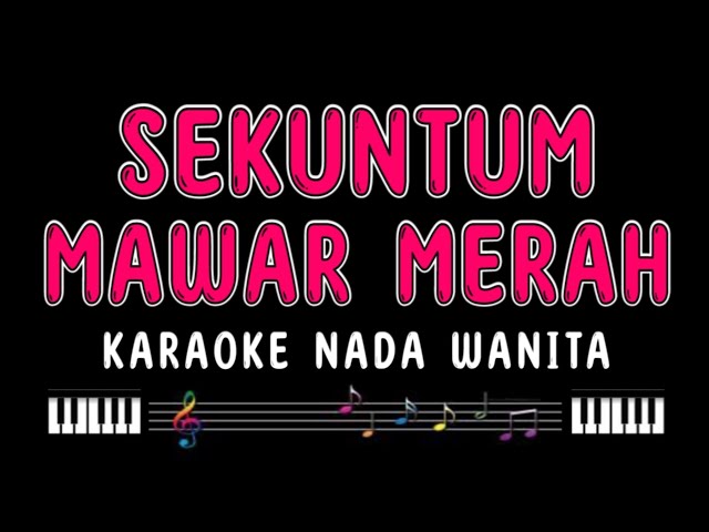 SEKUNTUM MAWAR MERAH - Karaoke Nada Wanita [ ELVY SUKAESIH ] class=