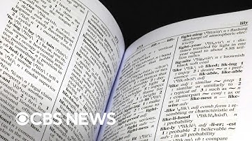 Word of the year for 2025 is "67," Dictionary.com announces