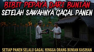 Download Lagu DIBERI BIBIT PEPAYA DARI BUNIAN KARENA SAWAHNYA SELALU GAGAL PANEN - cerita mistis MP3 Download Lagu DIBERI BIBIT PEPAYA DARI BUNIAN KARENA SAWAHNYA SELALU GAGAL PANEN - cerita mistis MP3