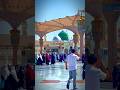 Islami status video 🌺🌺🌺🌺🌼🌼🌼🌼#summer #minar #israel #short #mpsc #videojuegos #simple