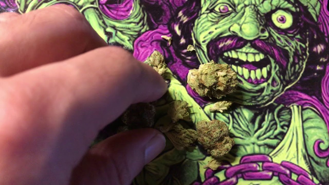 Paris OG weed strain