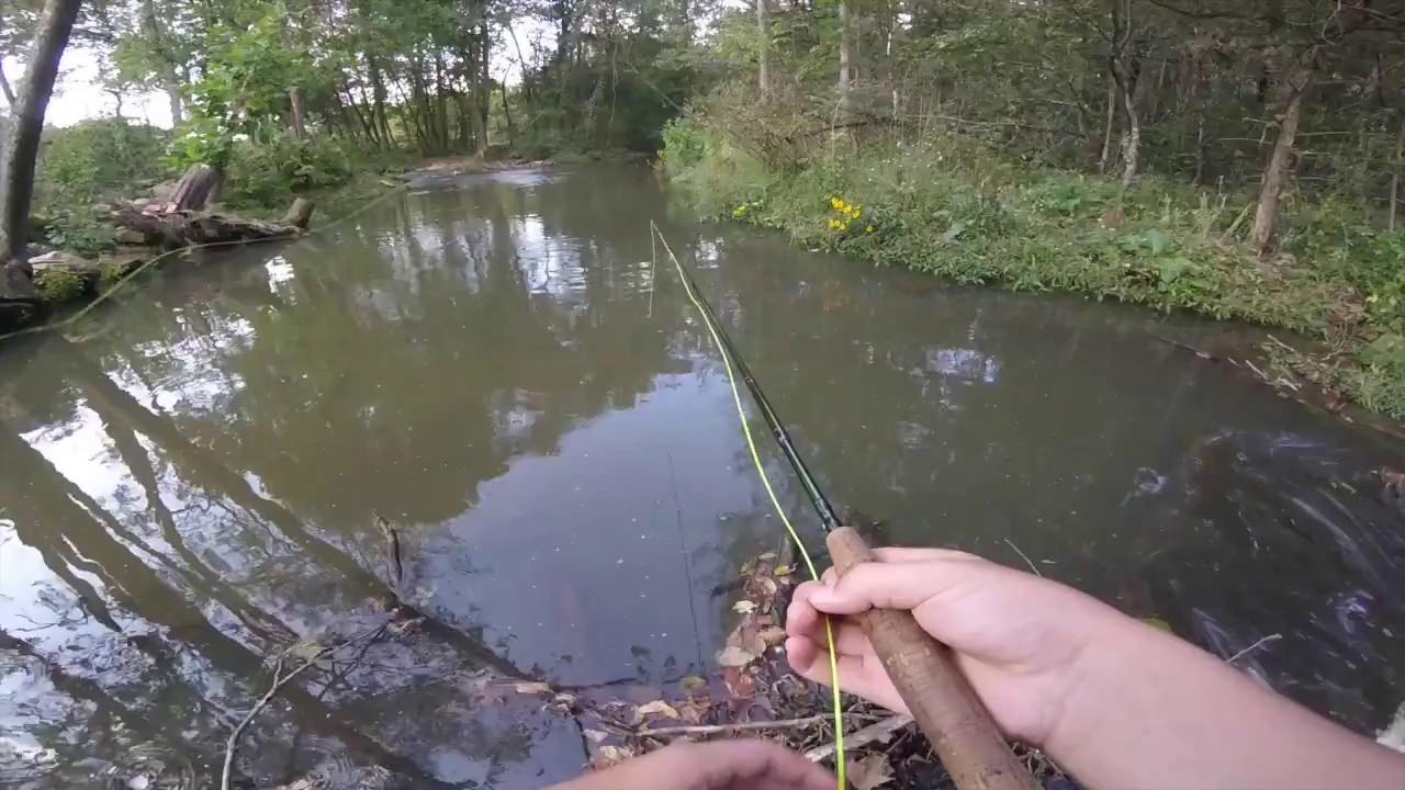 Dry Run Creek 2017 (446 FISH!) - YouTube