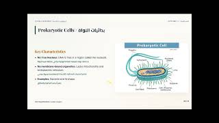 Cour1 biology cellular -introduction to the cell بالانجليزية مع العربية