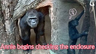 外を探索する余裕も出てきたアニー😊👍