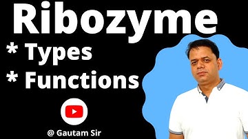 Ribozymes I Types I Function I NEET I NCERT I